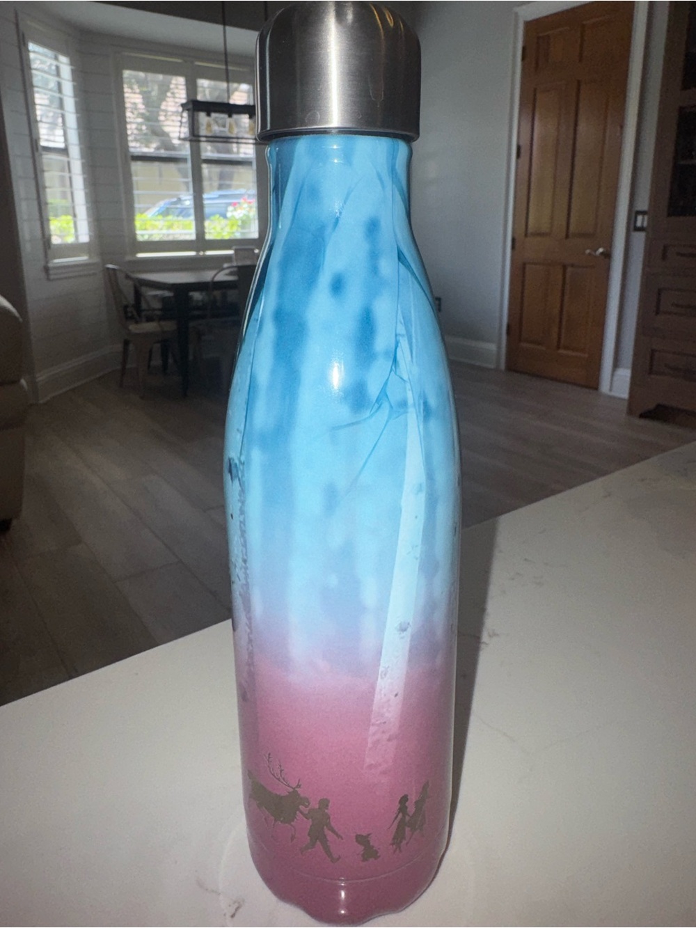 Swell insulated water bottle, Disney’s Frozen
